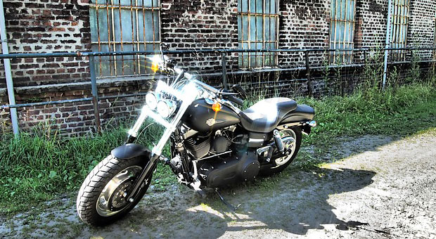 クールハーレー